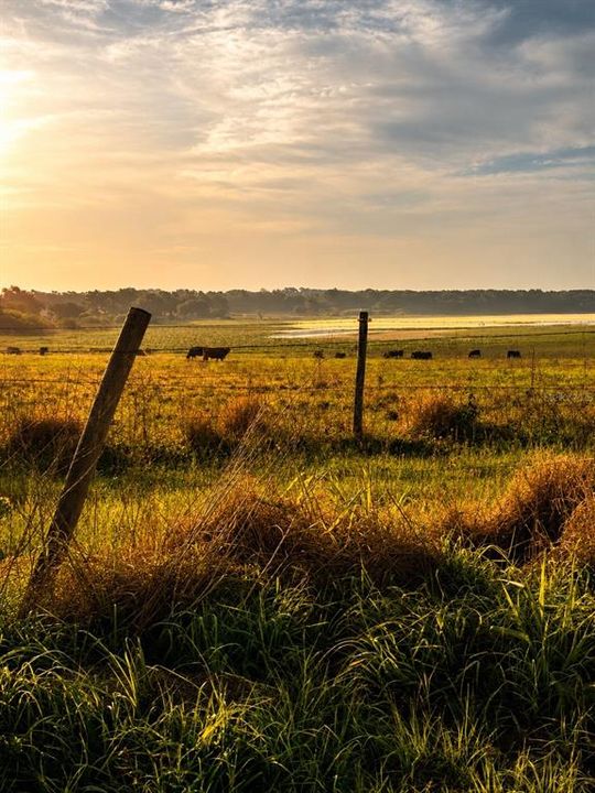 待售: $2,200,000 (55.40 acres)
