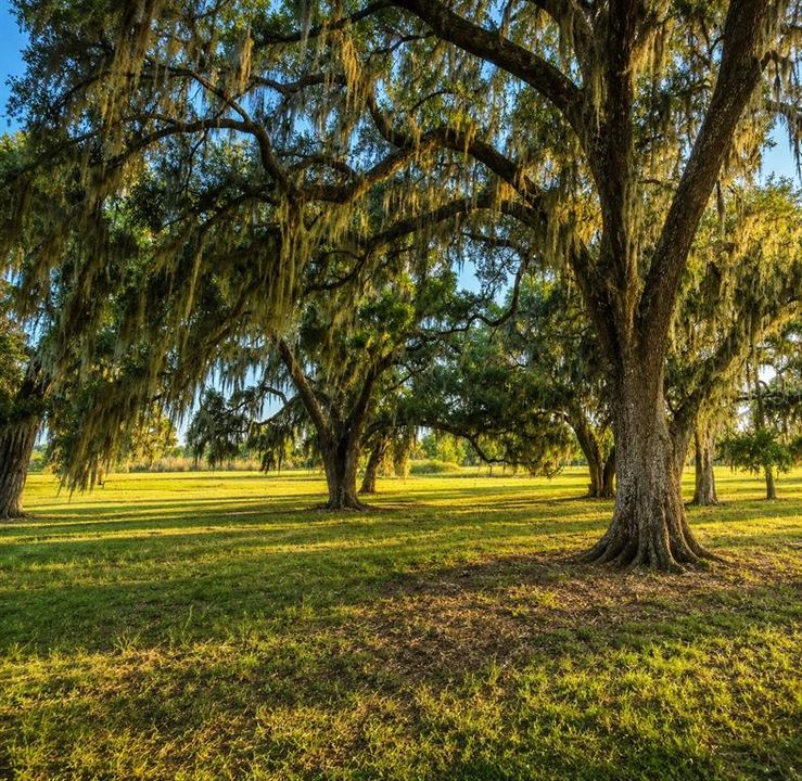 待售: $2,200,000 (55.40 acres)