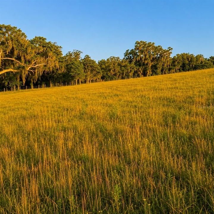 待售: $2,200,000 (55.40 acres)