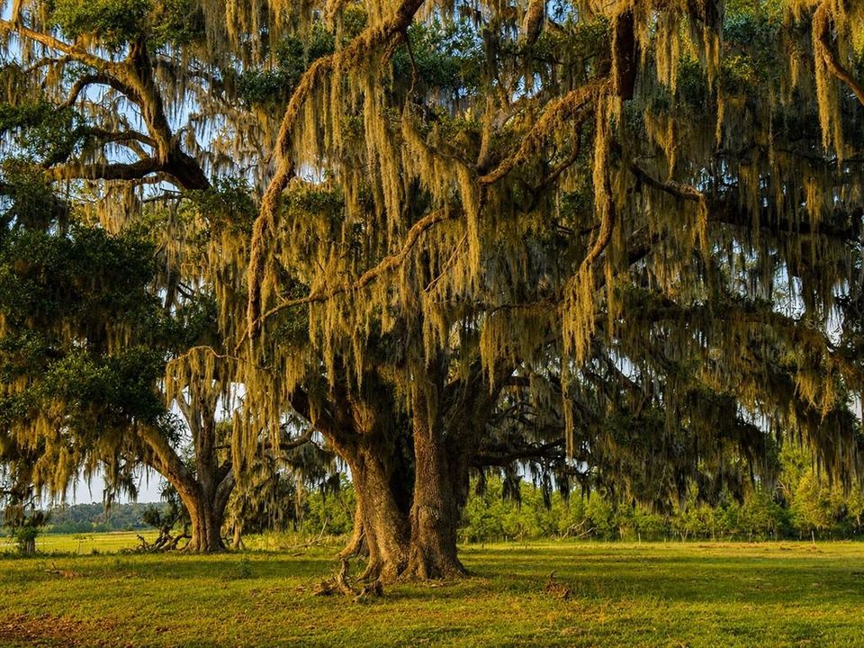 待售: $2,200,000 (55.40 acres)
