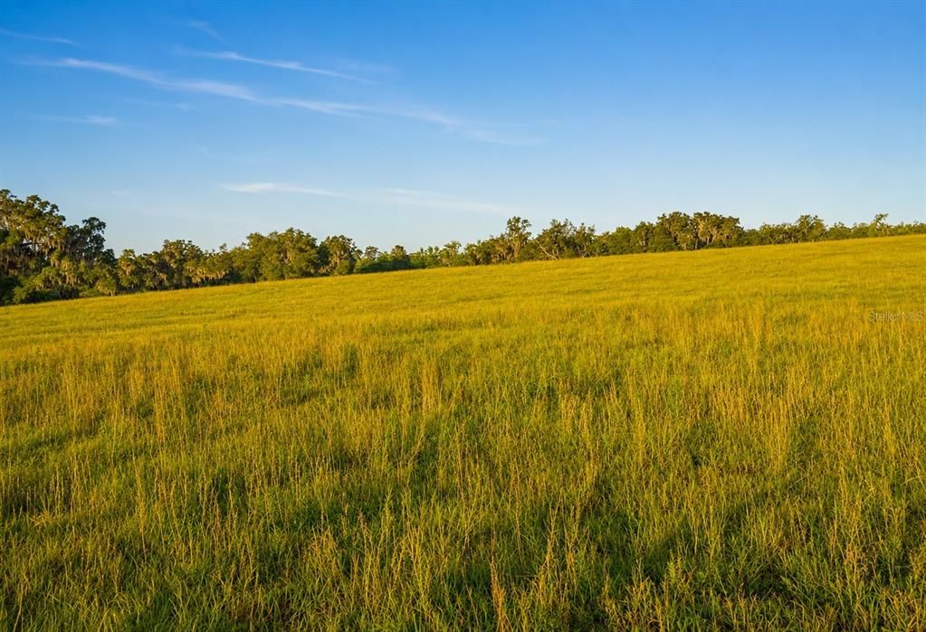 待售: $2,200,000 (55.40 acres)