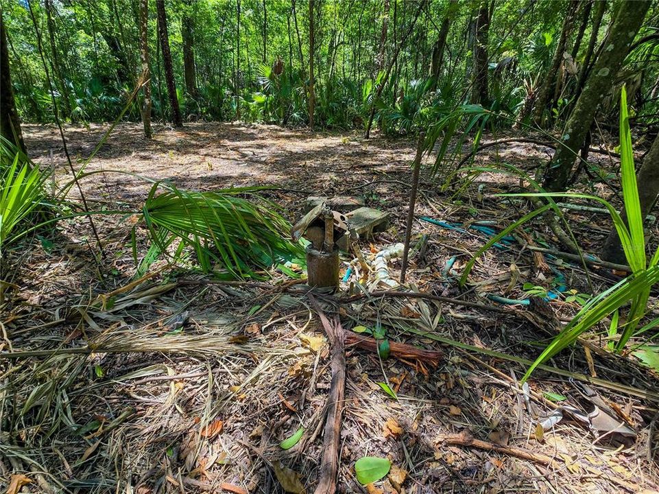 На продажу: $36,000 (1.00 acres)