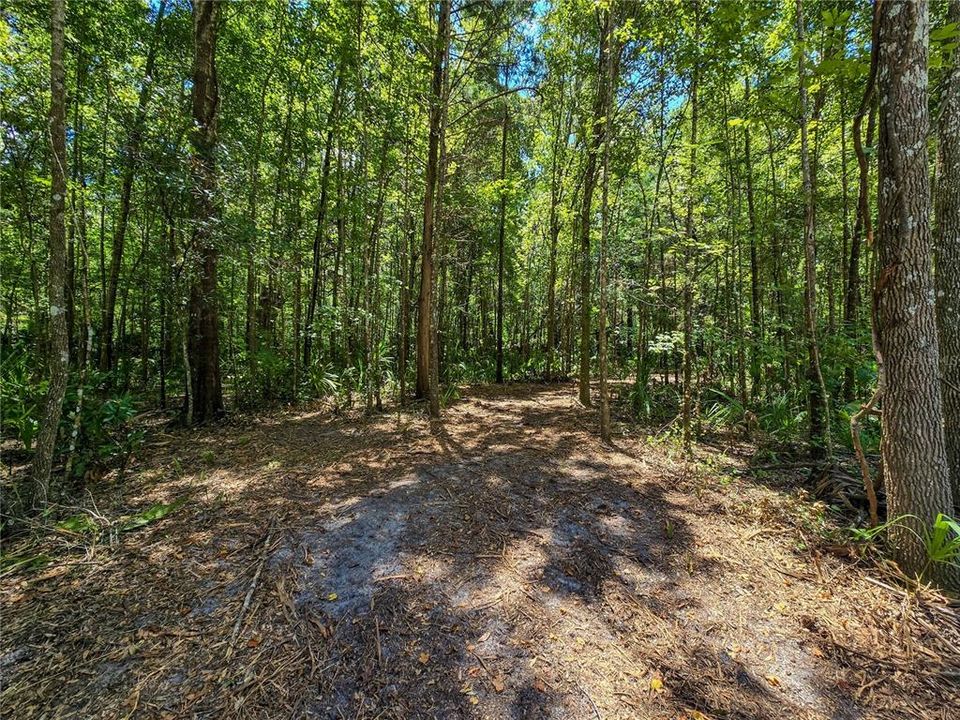 На продажу: $36,000 (1.00 acres)