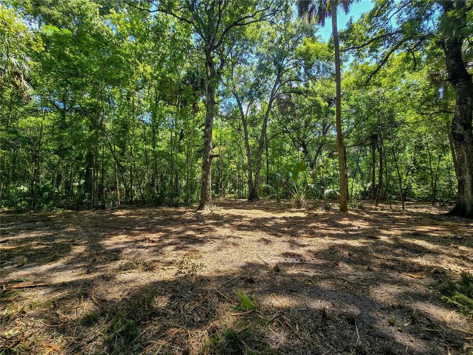 На продажу: $36,000 (1.00 acres)