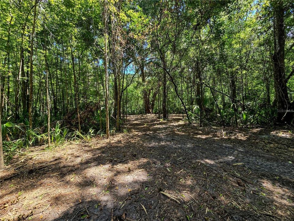 На продажу: $36,000 (1.00 acres)