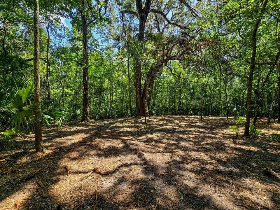 На продажу: $36,000 (1.00 acres)