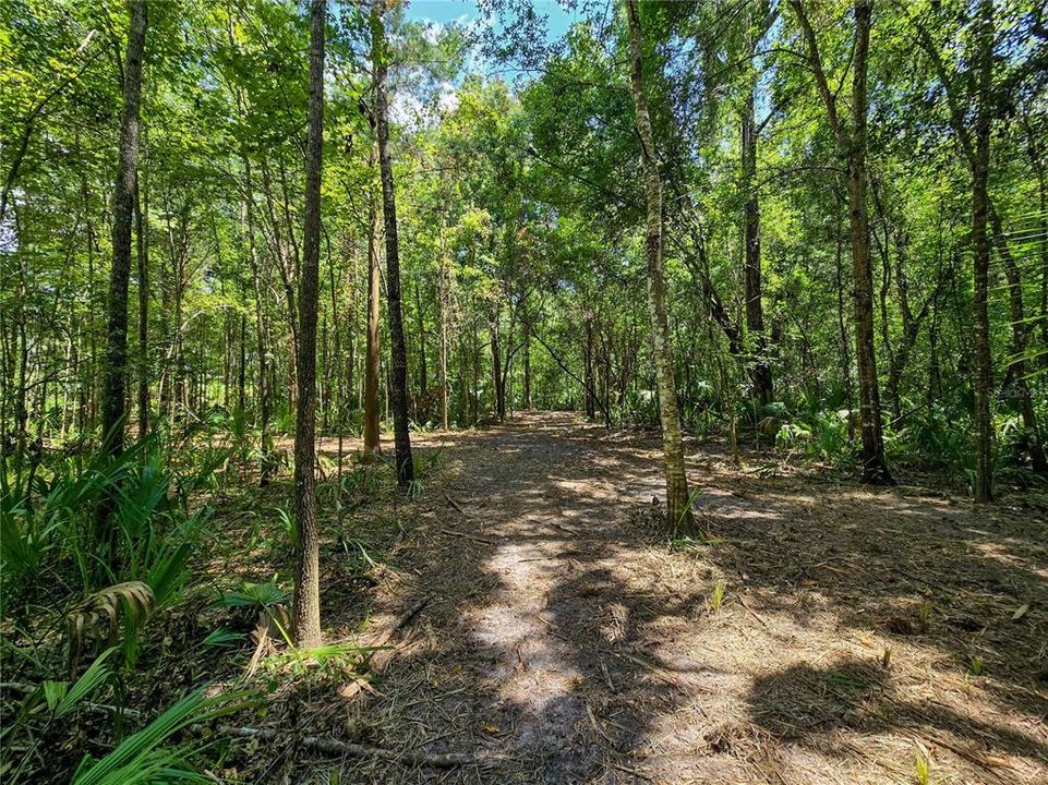 На продажу: $36,000 (1.00 acres)