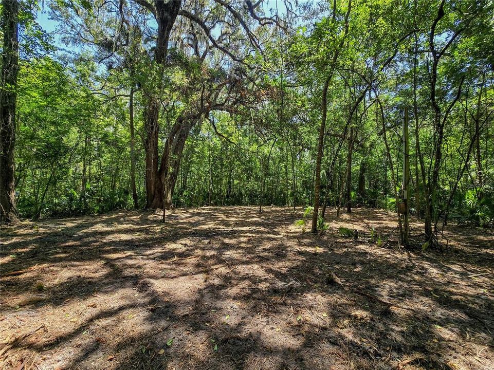 На продажу: $36,000 (1.00 acres)