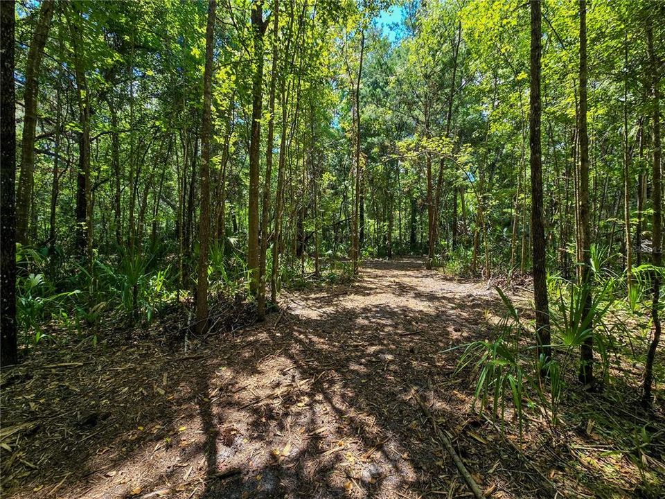 На продажу: $36,000 (1.00 acres)