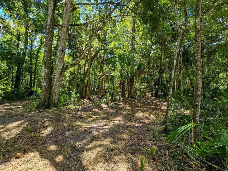 На продажу: $36,000 (1.00 acres)