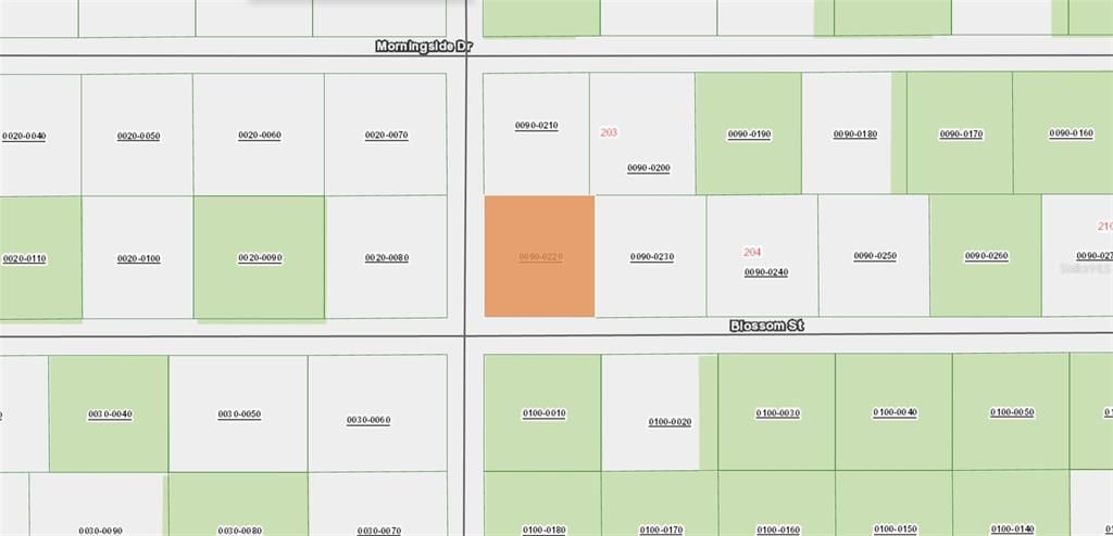 En Venta: $19,900 (1.01 acres)