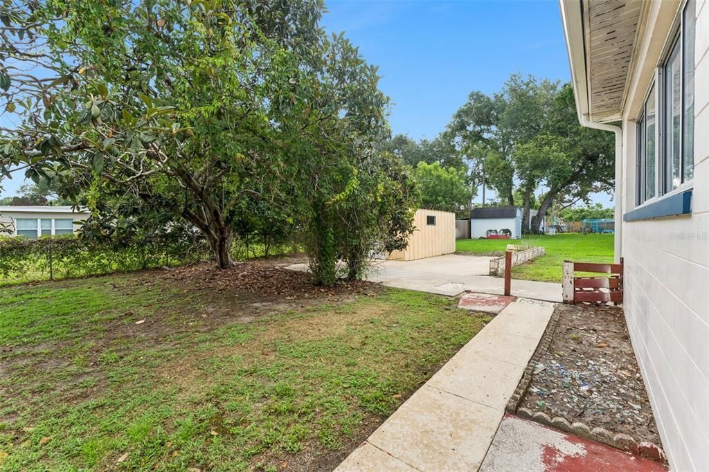 На продажу: $365,000 (3 спален, 2 ванн, 1569 Квадратных фут)