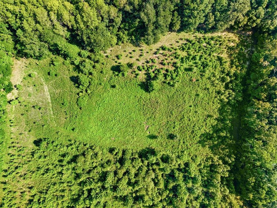 待售: $365,000 (36.90 acres)