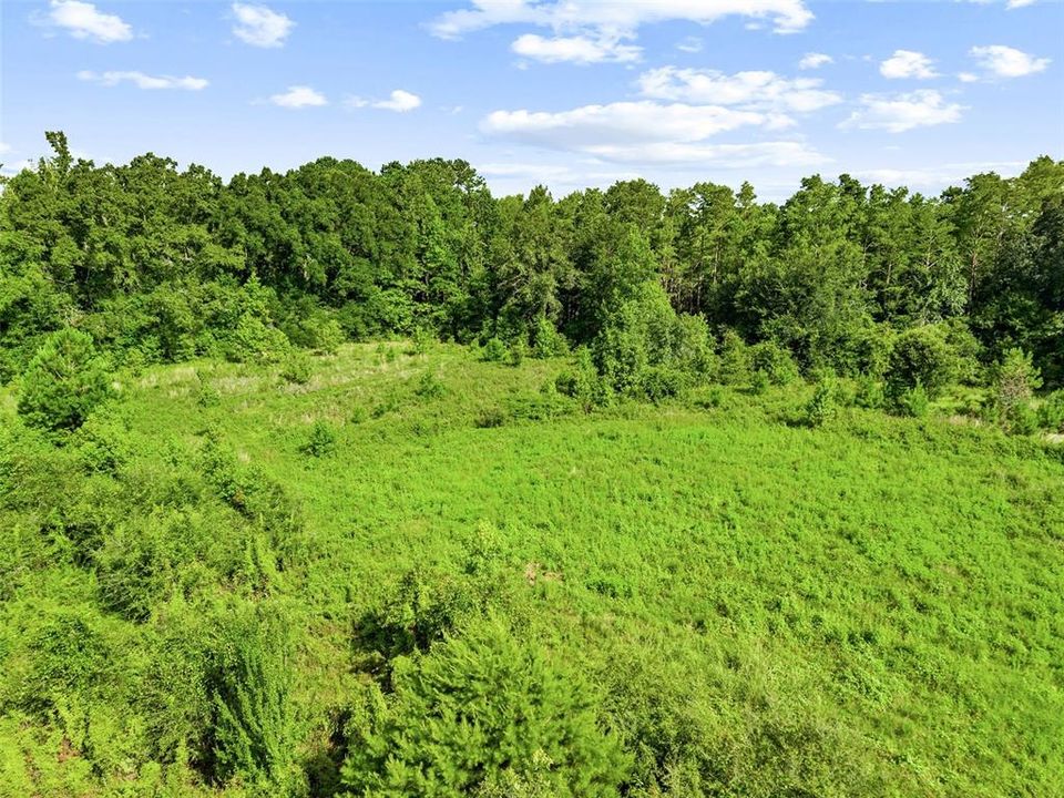 待售: $365,000 (36.90 acres)