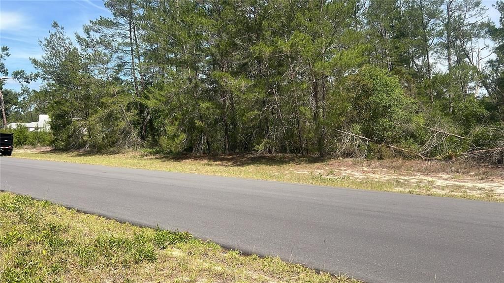 For Sale: $49,500 (0.34 acres)