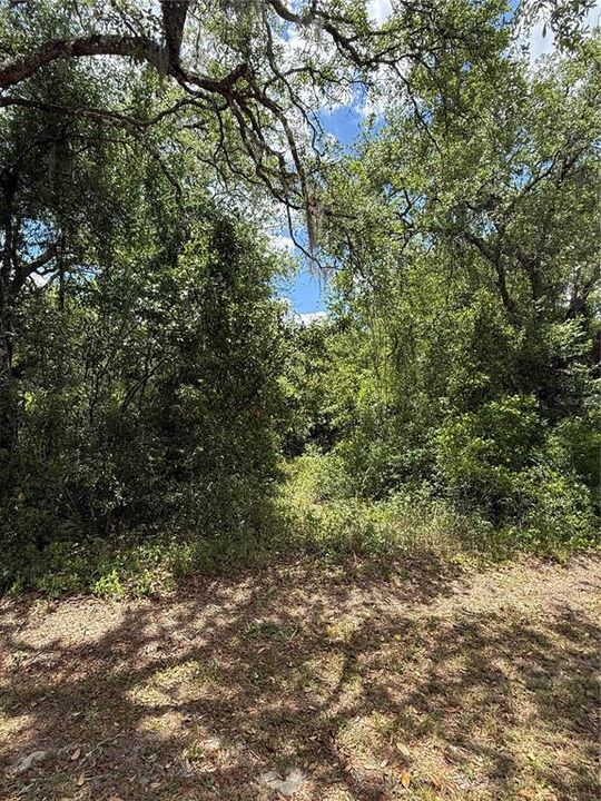 En Venta: $39,900 (1.00 acres)