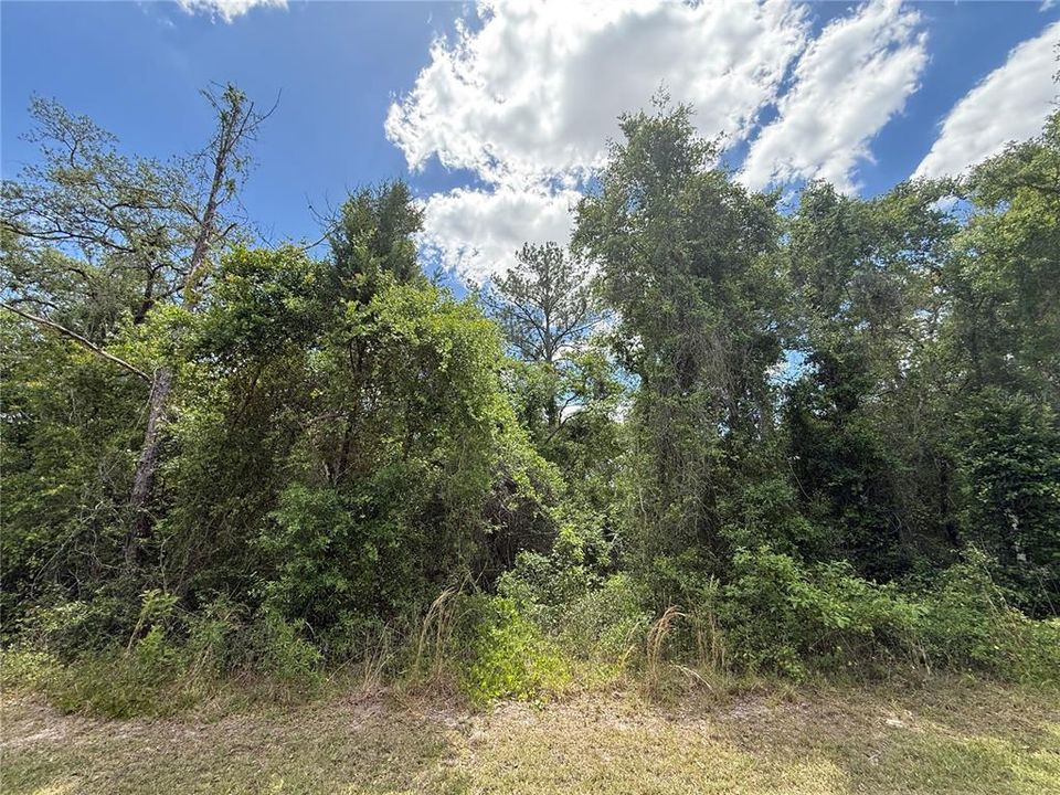 En Venta: $39,900 (1.00 acres)