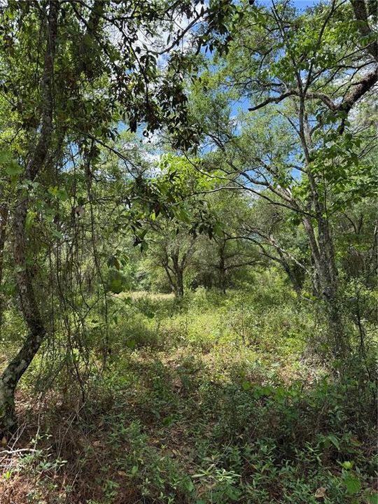 En Venta: $39,900 (1.00 acres)