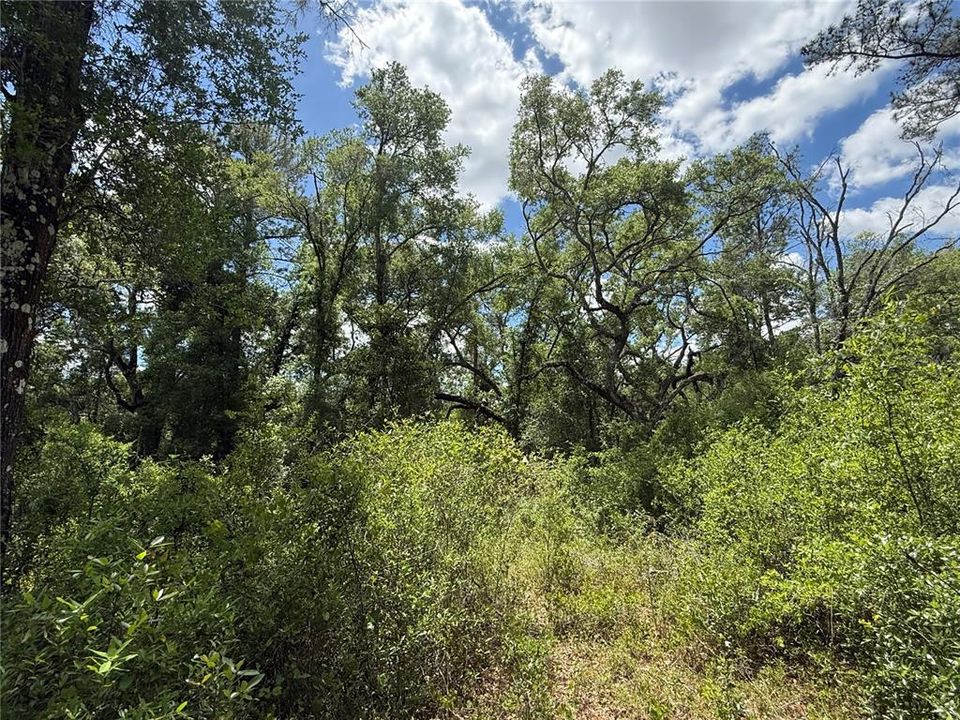 En Venta: $39,900 (1.00 acres)