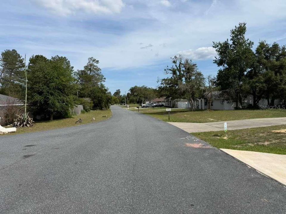 En Venta: $50,000 (0.31 acres)