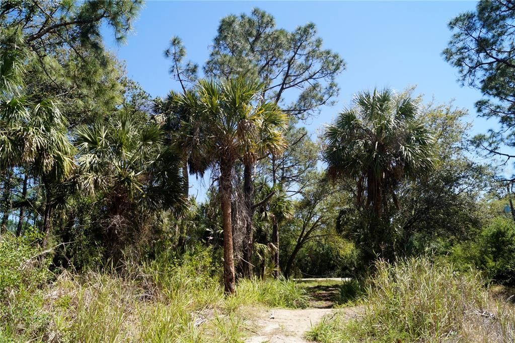 待售: $16,000 (0.30 acres)