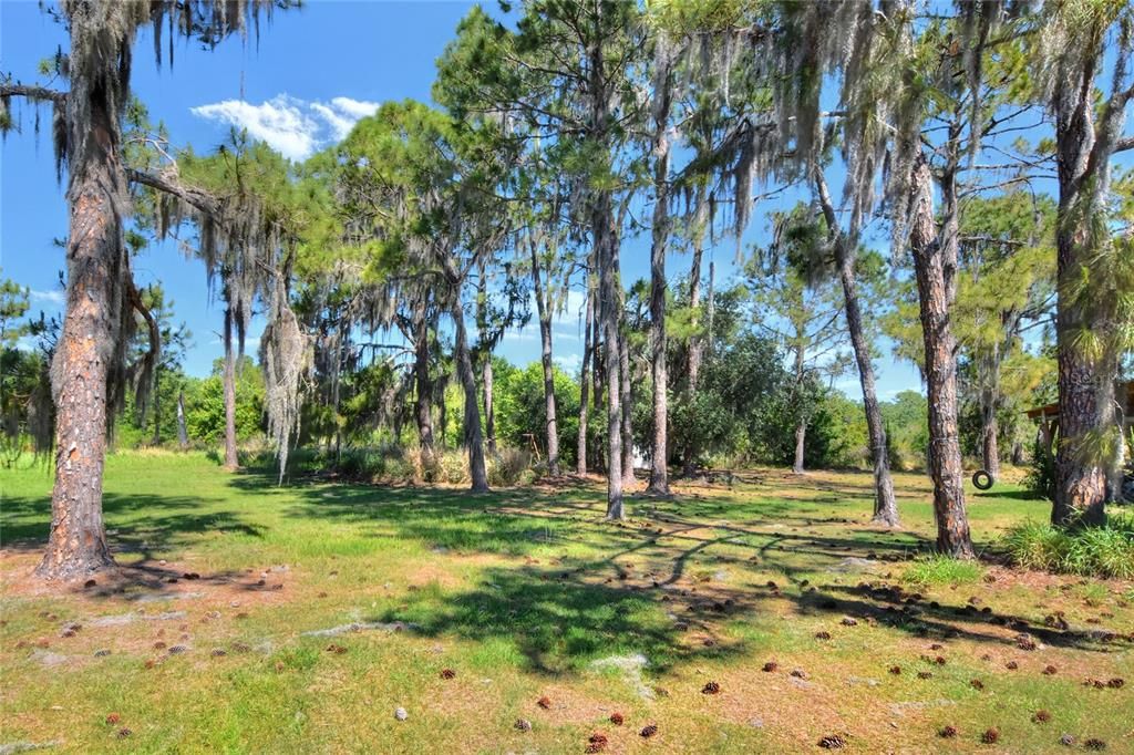 Active With Contract: $650,000 (108.88 acres)