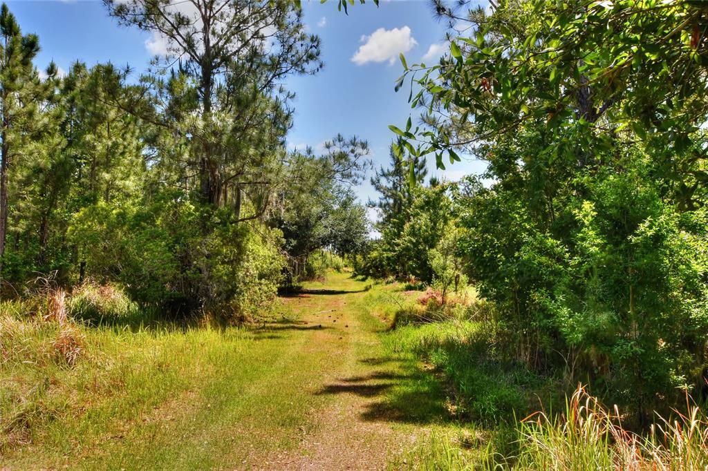 Active With Contract: $650,000 (108.88 acres)
