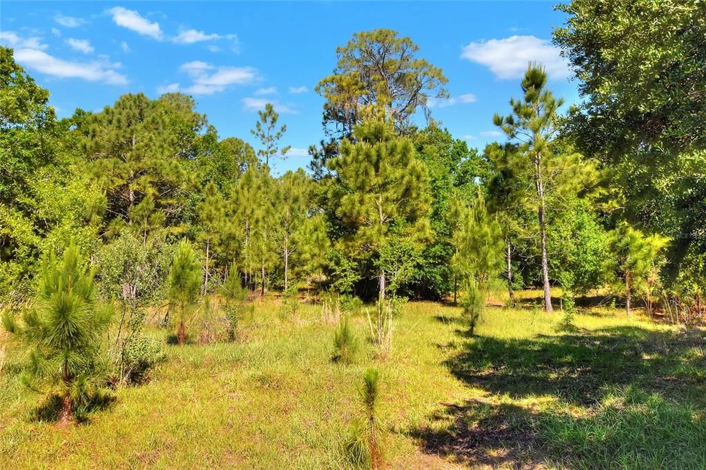 Active With Contract: $650,000 (108.88 acres)