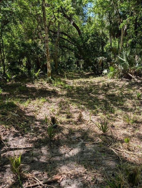 For Sale: $313,800 (10.46 acres)