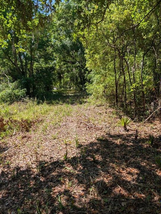For Sale: $313,800 (10.46 acres)