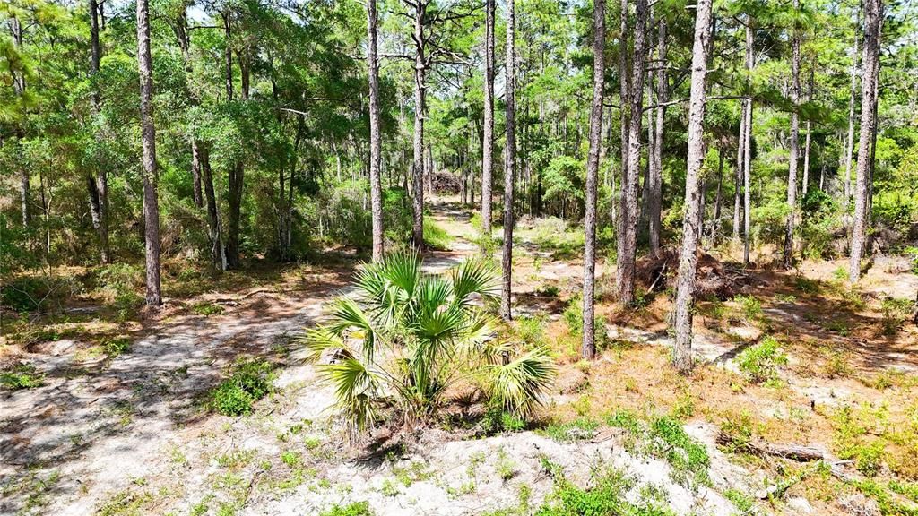 待售: $225,000 (5.00 acres)