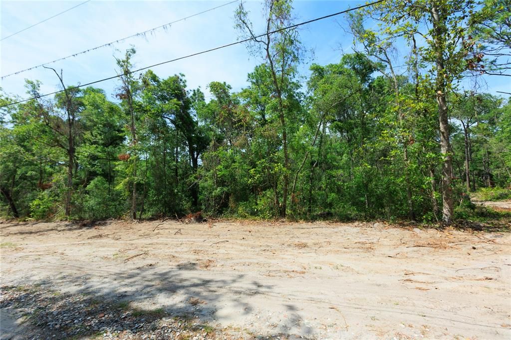 待售: $225,000 (5.00 acres)
