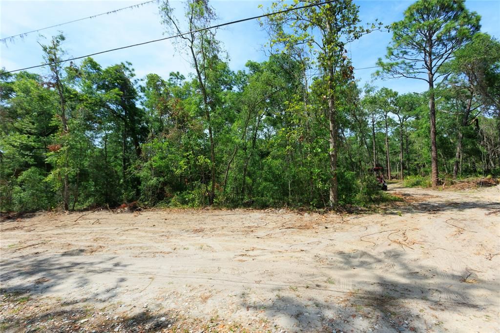 待售: $225,000 (5.00 acres)