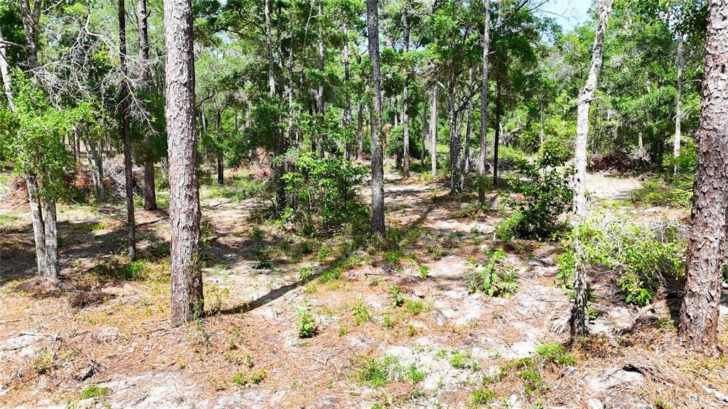 待售: $225,000 (5.00 acres)