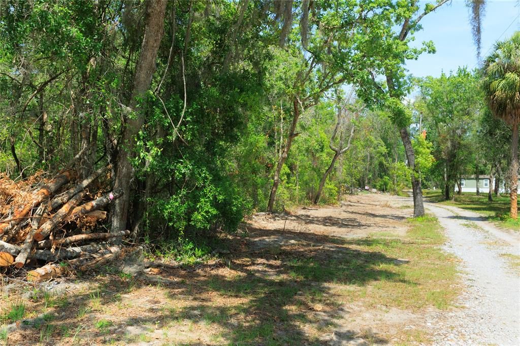 待售: $225,000 (5.00 acres)