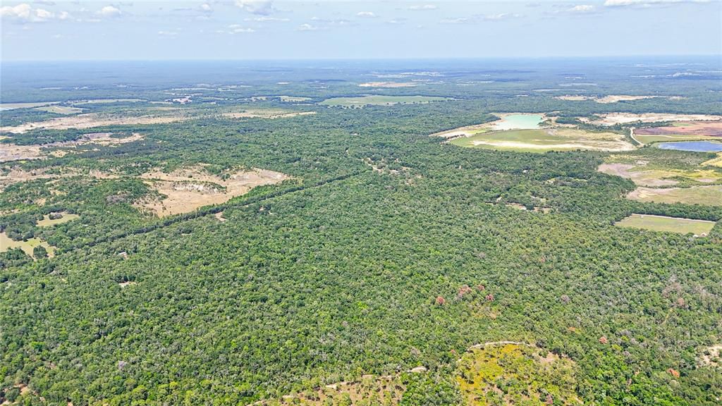 待售: $225,000 (5.00 acres)