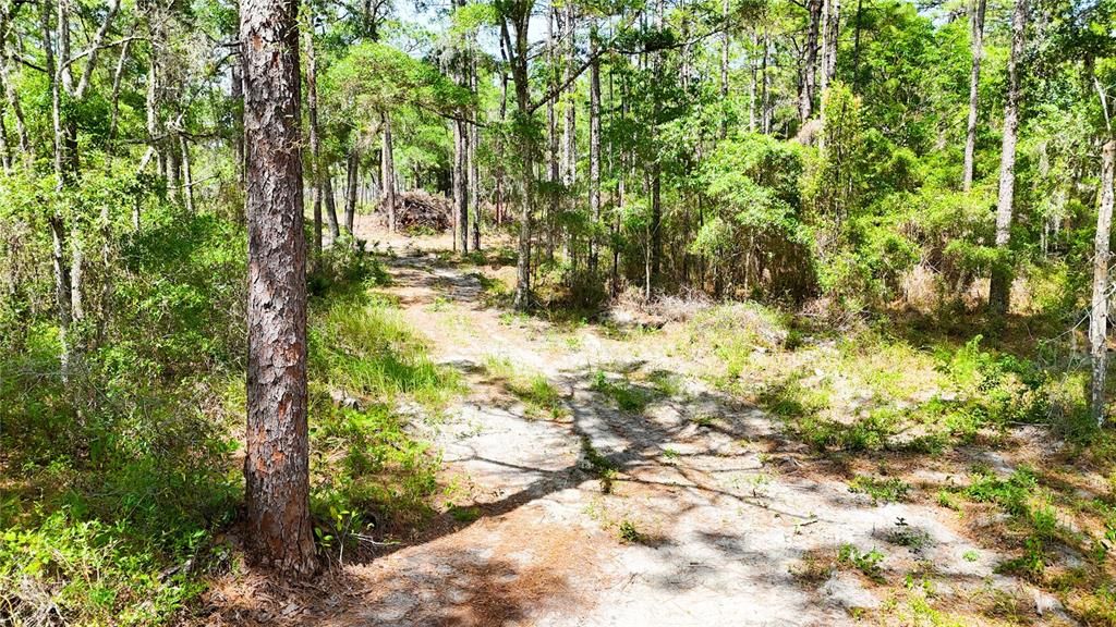 待售: $225,000 (5.00 acres)
