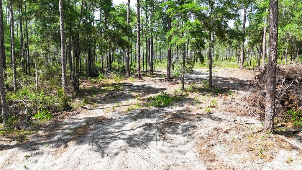 待售: $225,000 (5.00 acres)