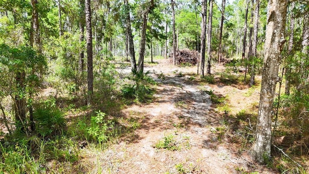 待售: $225,000 (5.00 acres)