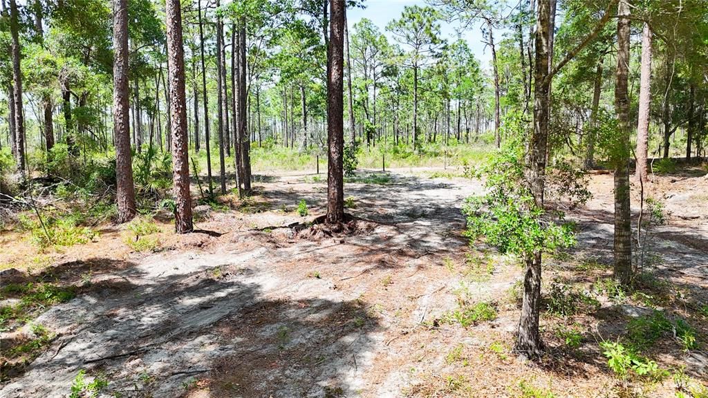待售: $225,000 (5.00 acres)