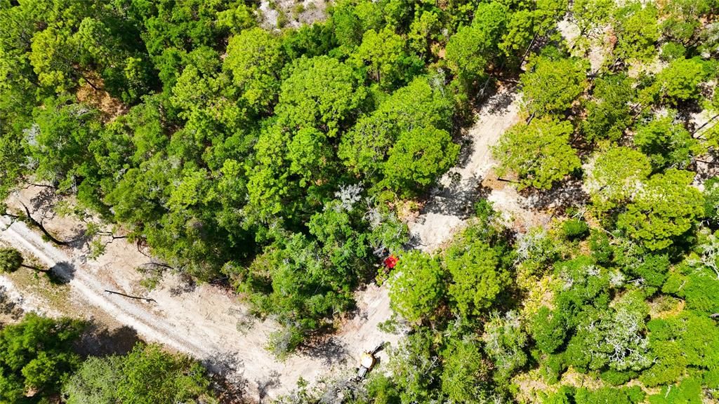 待售: $225,000 (5.00 acres)