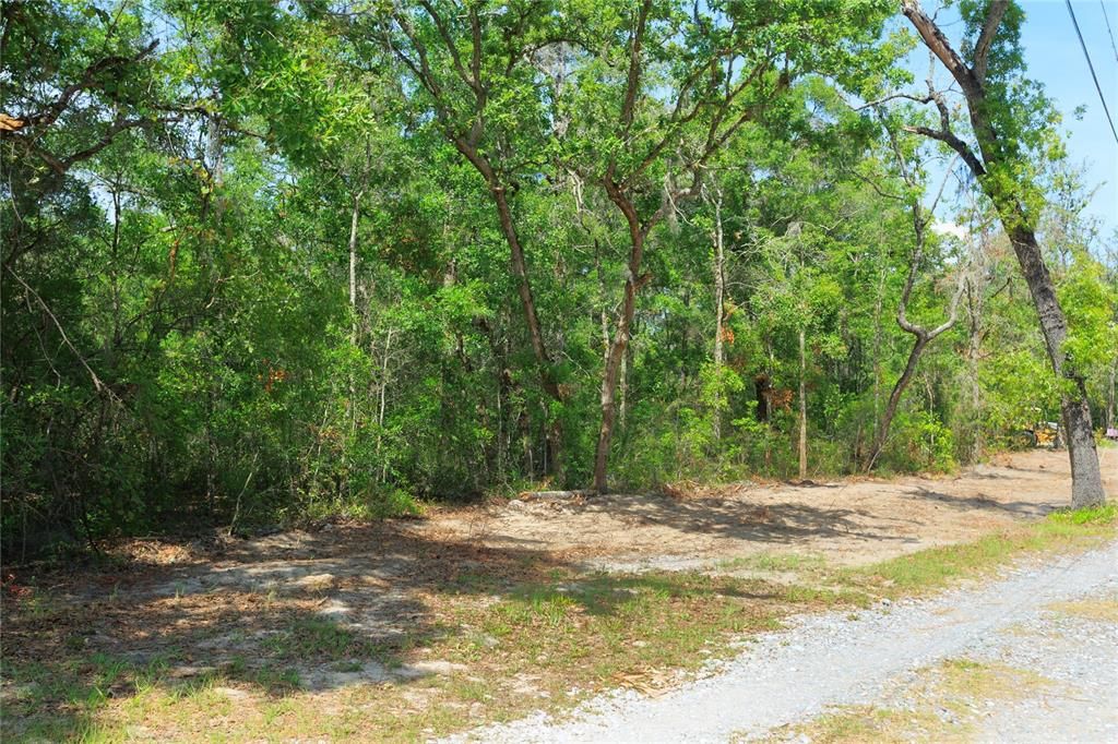 待售: $225,000 (5.00 acres)