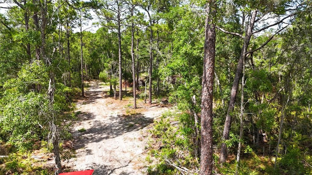待售: $225,000 (5.00 acres)