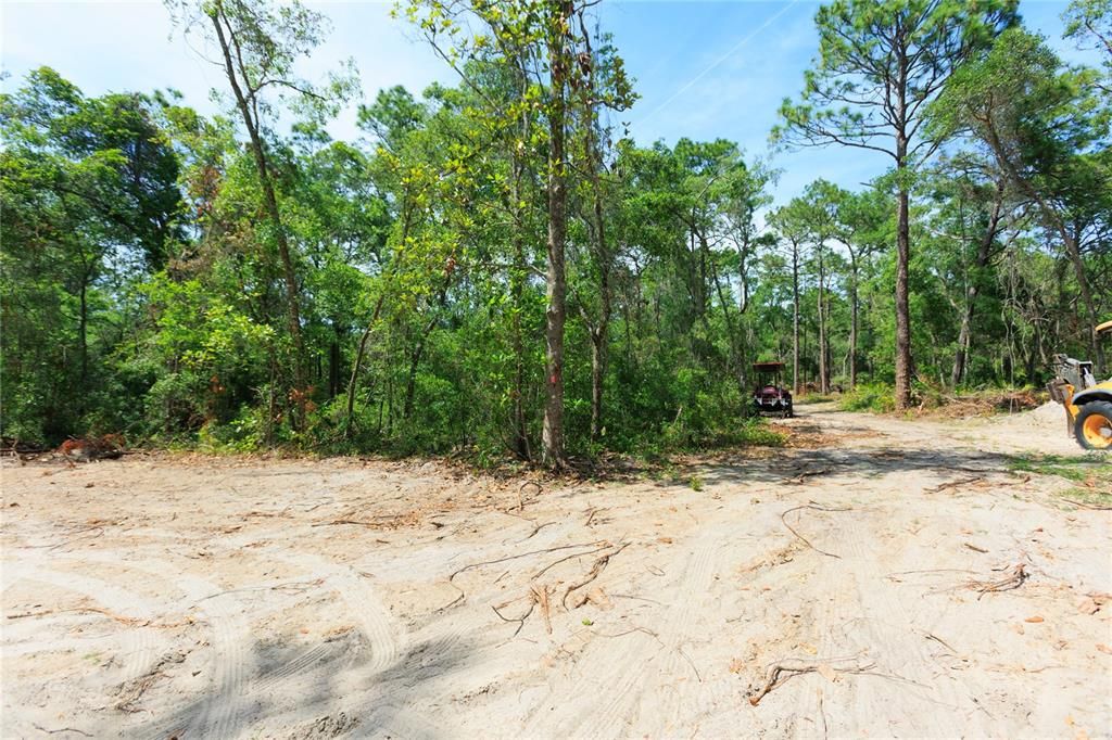 待售: $225,000 (5.00 acres)