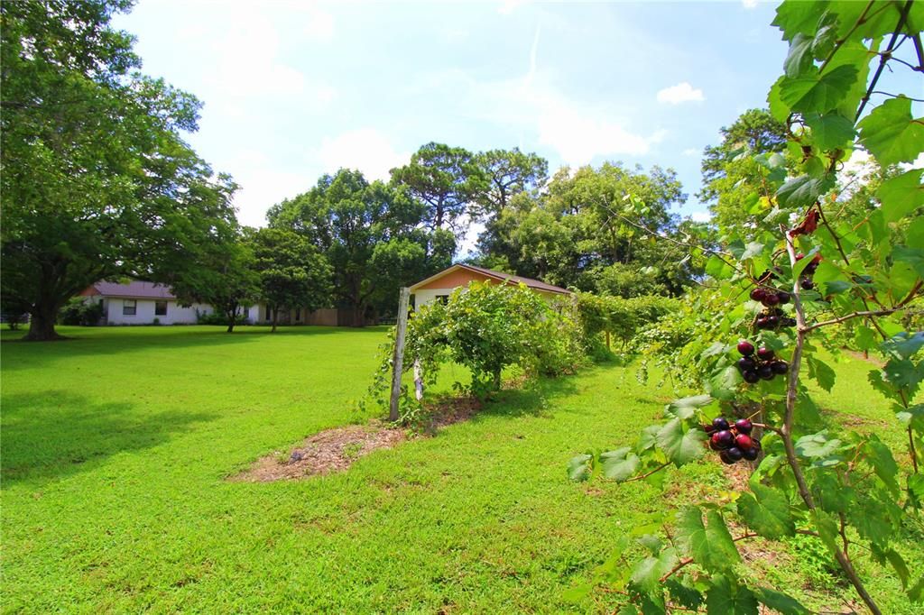 Activo con contrato: $359,900 (4 camas, 2 baños, 1626 Pies cuadrados)