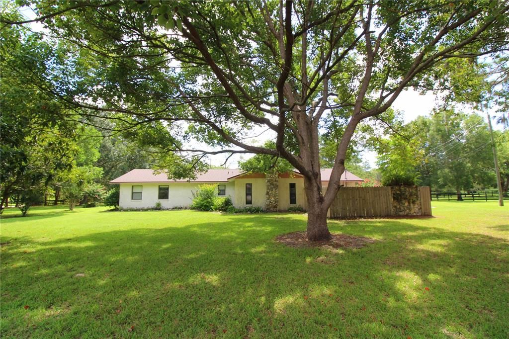 Activo con contrato: $359,900 (4 camas, 2 baños, 1626 Pies cuadrados)