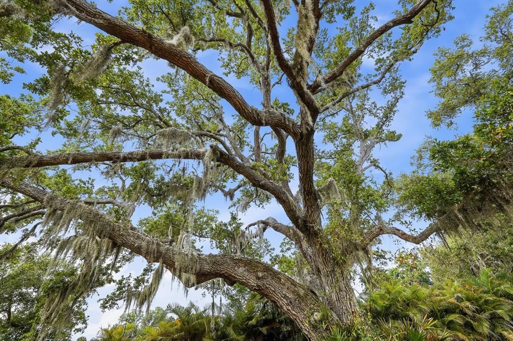For Sale: $1,450,000 (5.23 acres)