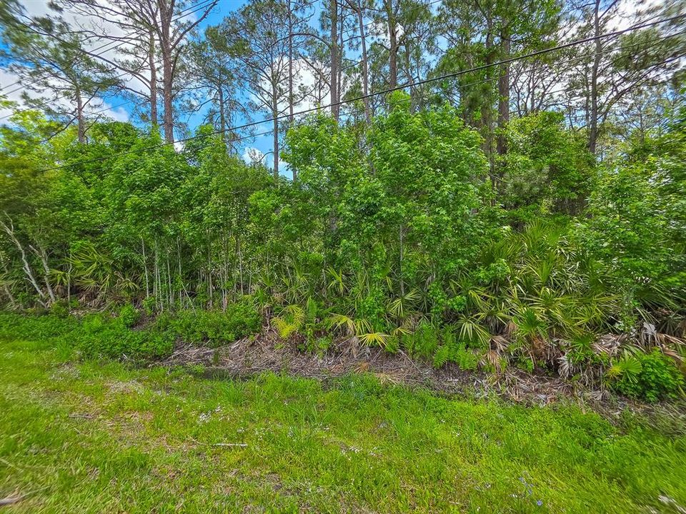 For Sale: $135,000 (0.72 acres)