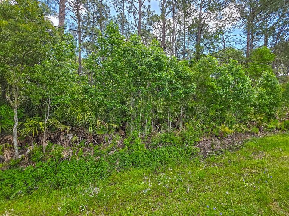 For Sale: $135,000 (0.72 acres)
