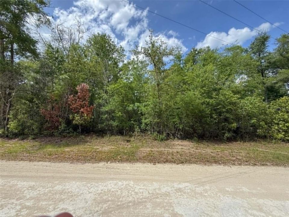 For Sale: $25,000 (0.92 acres)
